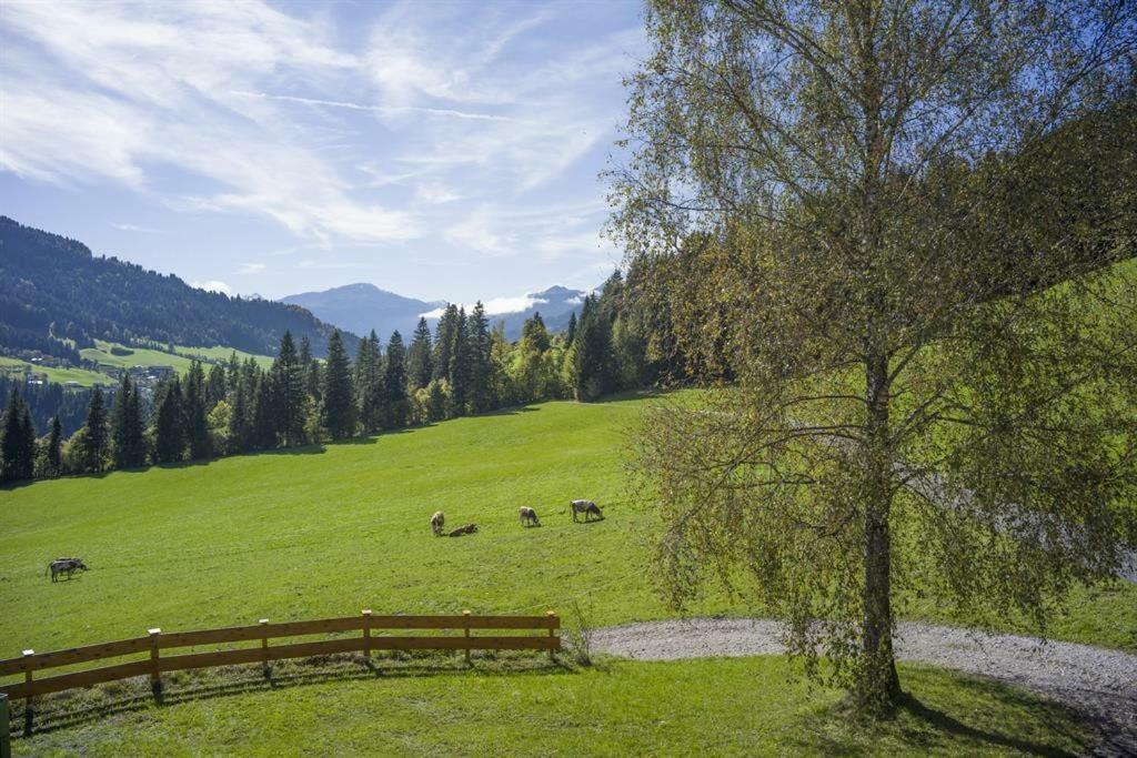 Bauernhof Hinterfirst Apartamento Söll Exterior foto